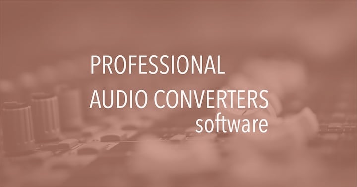 Professional audio converters